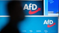 Mehrere Logos der AfD auf einer Plakatwand.