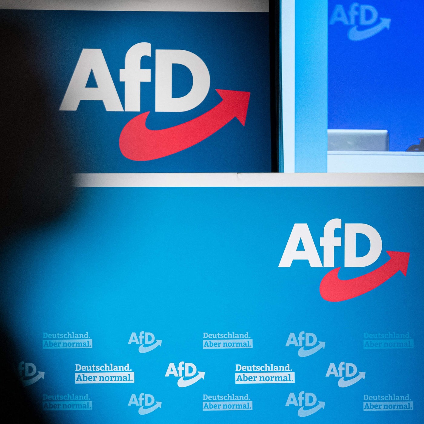 Umfragehoch: AfD in BW spürt Aufwind und will mit CDU regieren