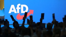 Bundesparteitag der AfD: Delegierte heben ihre Stimmkarten für eine Abstimmung. 