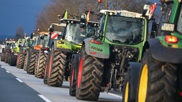 Eine Kolonne von Traktoren anlässlich des Protesttages gegen geplante Subentionskürzungen durch die Bundesregierung (08.01.2024).