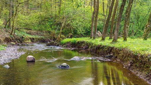 Rinderbach bei Heiligenhaus in NRW. 