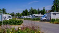 Wohnmobile auf einem Campingplatz bei Radolfzell