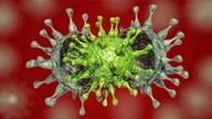Symbolbild: Grafisches Modell einer Coronavirusmutation
