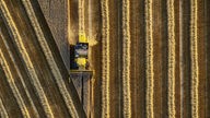 Luftbild: Landmaschine bei der Weizenernte
