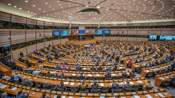 Plenarsaal, EU-Parlament in Brüssel, Archivbild: 29.01.2020