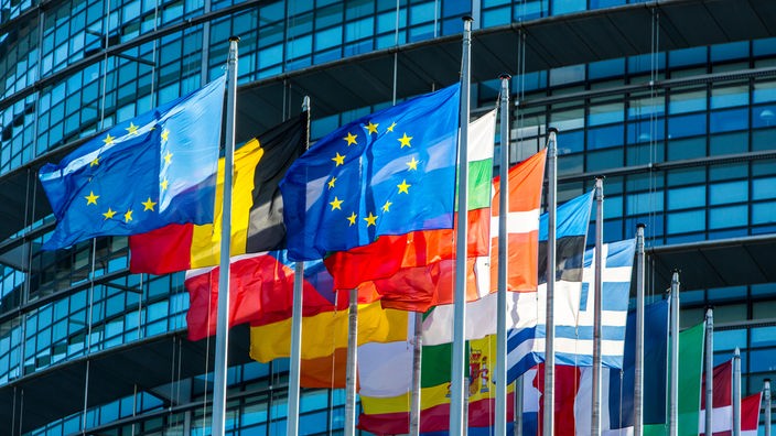 Flaggen der EU-Mitgliedsländer vor dem EU-Parlament in Straßburg