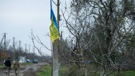 Ukrainische Nationalflagge hängt in einem Baum (Symbolbild)