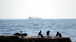 türkischer Massengutfrachter verlässt Hafen von Odessa. Letztes Schiff im Rahmen des Getreideabkommens. Archivbild: 16.07.2023