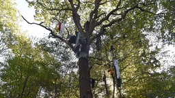 Protestspaziergang gegen Rodung des Hambacher Forsts. Archivbild: 30.09.2018