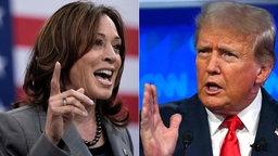 Collage: Kamala Harris und Donald Trump