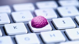 Auf einer weißen Tastatur liegt ein kleines rosafarbenes Gehirnmodell auf einer Taste zwischen den tasten K und I