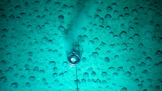 Archivfoto: Manganknollen werden am Meeresboden in einer Tiefe von mehreren tausend Metern im Pazifik untersucht (18.10.2004)
