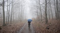Frau geht bei Regenwetter mit Regenschirm durch einen Wald.