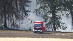 Feuerwehrleute bekämpfen einen Brand im Wald. Archivbild 19.07.2022 Saale-Orla Kreis, Symbolbild