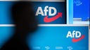 Schatten vor einem AfD-Logo