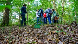 Gruppe von Pilzsammlern im Dünnwald