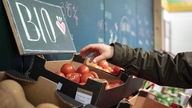Eine Hand greift nach Bio-Tomaten in einer Gemüsauslage im Supermarkt