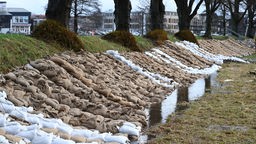 Hunderte Sandsäcke liegen auf einem Deich an der Ems in Meppen. 