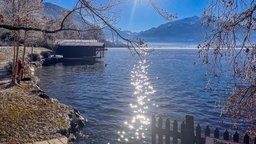 In einem winterlichen See ist entfernt der Kopf einer badenden Person zu erkennen