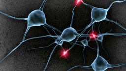 Eine beispielhafte Darstellung von Nervenzellen im menschlichen Gehirn.