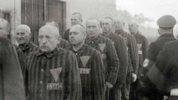 Konzentrationslager Sachsenhausen bei Oranienburg (Brandenburg): homosexuelle Gefangene mit rosa Winkel und Identifikationsnummer auf der Häftlingskleidung. 1938.