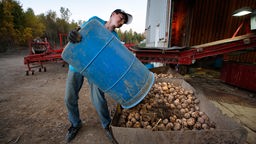Archivbild: Ein 15-Jähriger bei der Kartoffelernte in Maine, USA