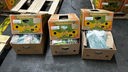 Bananenkisten aus Ecuador, in denen Kokain versteckt wurde – 2022 vom Zoll in Duisburg beschlagnahmt