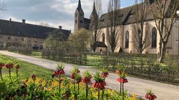 Zur Landesgartenschau 2023 hat das Kloster Corvey einen neuen Klostergarten bekommen.