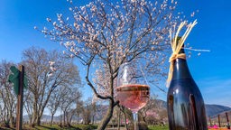 Mit der Mandelblüte beginnt das erste Weinfest in Grimmeldingen.