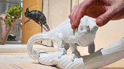Eine Hand befühlt das Tast-Modell eines Chamäleons in einem Museum