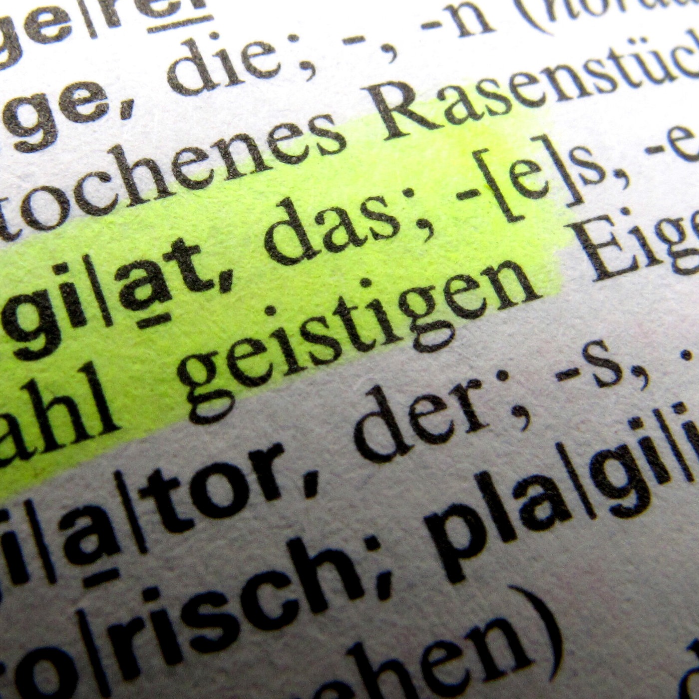 Über Plagiate – Klaus F. Gärditz