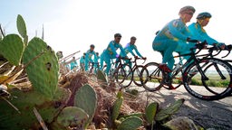 Immer mehr Radfahrer entdecken Mallorca. Die Sportler verlängern die Tourismussaison