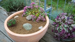 Bau eines Minisandariums als Wildbienennisthilfe, Pflanzschale mit Mix aus Sand, Lehm und Gartenerde.
