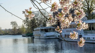 Service Ausflug Mülheim an der Ruhr