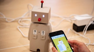 Ein kleiner Roboter, der mit einem Smartphone gesteuert wird