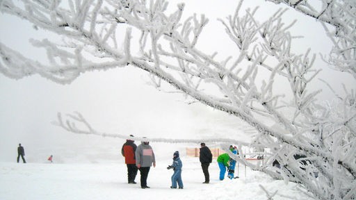 Menschen in Schneeanzügen in einer Schneelandschaft hinter einem vereisten Baum
