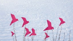 Symbolbild für Freiheit: pinke gefaltete Vögel auf Zweigen