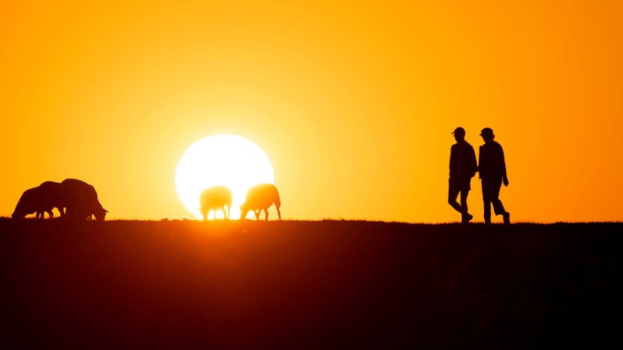 Menschen laufen im Sonnenuntergang