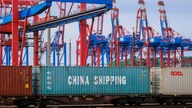 Hamburg, ein China Shipping Seecontainer auf  einem Gueterzug im Hamburger Hafen vor Hafenkraenen am Containerterminal Eurogate.