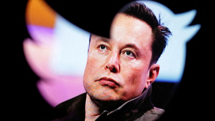 Ein Foto von Elon Musk ist durch das Twitter-Logo, einen fliegenden Vogel, zu sehen. 