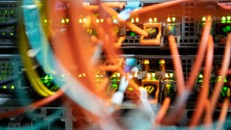 Glasfaserkabel stecken in einem Rechenzentrum vom bayerischen Landeskriminalamt (BLKA) in einem Netzwerk-Switch