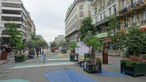 Blumenkästen und Bodenmalereri auf dem Boulevard Anspach in Brüssel