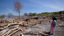 Zerstörter Regenwald in Indonesien