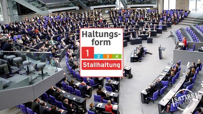 Bild des deutschen Bundestags mit Haltungsform-Siegel.