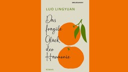 Buchcover: "Das fragile Glück der Harmonie" von Luo Lingyuan