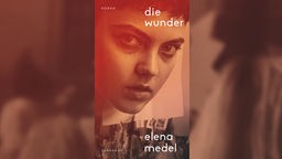 Buchcover: "Die Wunder" von Elena Medel