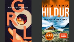 Buchcover: "Groll" von Gianrico Carofilio und "Hildur – die Spur im Fjord" von Satu Rämo