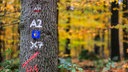 Wegweiser für Wanderer hängen im Reichswald bei Kleve an einem Baum.