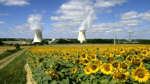 Ein Kernkraftwerk, davor ein Sonnenblumenfeld 