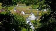 Häuser mit Gras bedeckten Dächern stehen im "Ökologischen Dorf" in Düsseldorf-Unterbach 